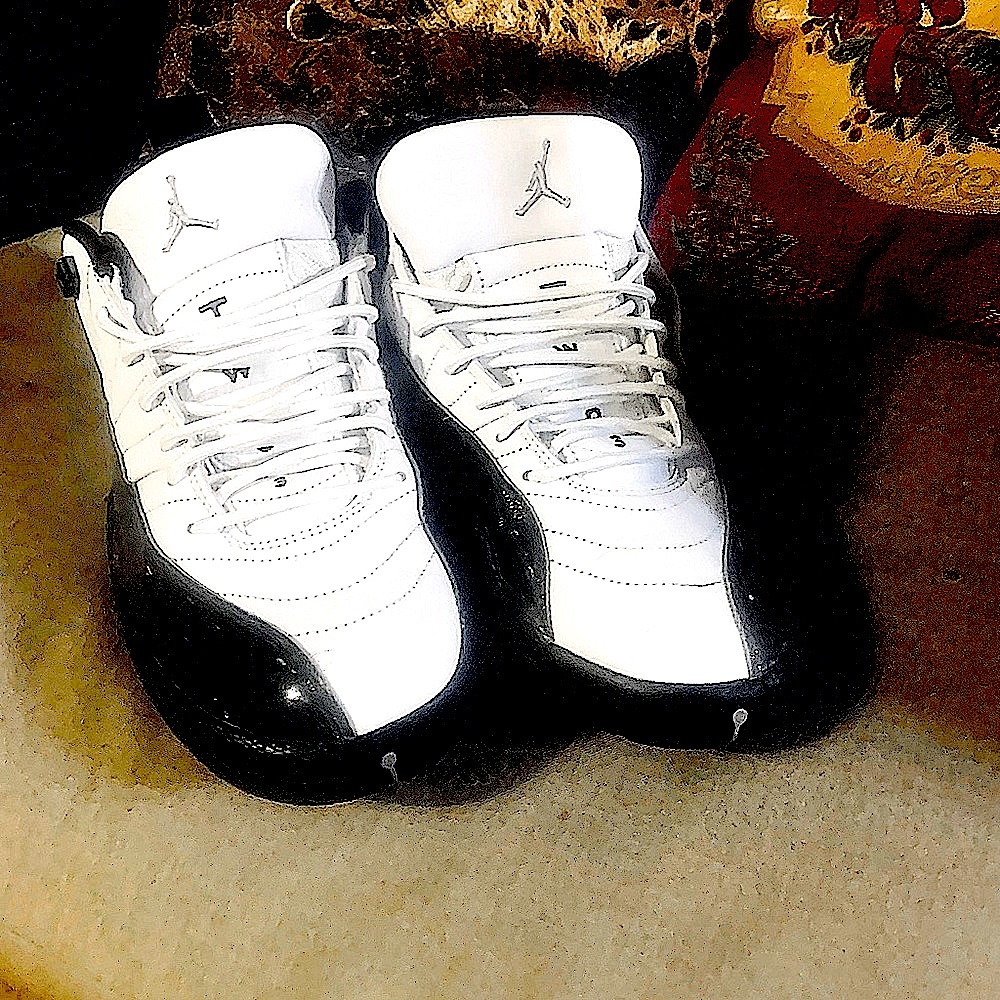 Nike Air Jordan Retro Low 12's